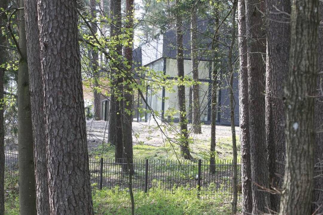Aptvertoji Palanga – vaikštantiems „ne savo pusėje“ kviečiama policija