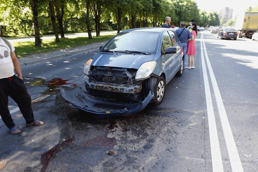 Liepojos gatvėje nutrenktas briedis