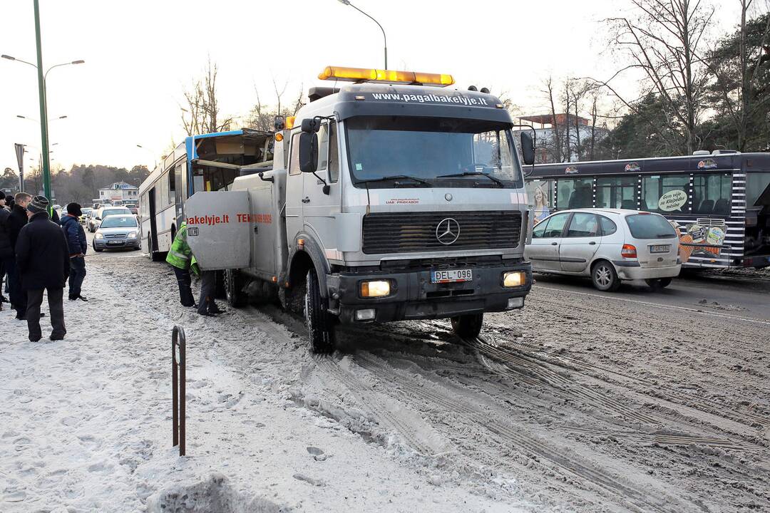 Kaktomuša susidūrė keleiviniai autobusai