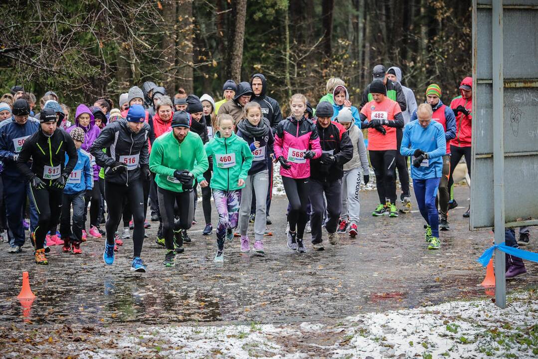 Eko maratonas