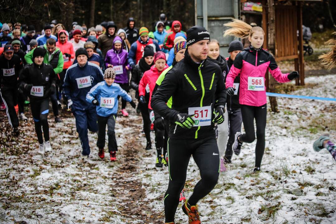 Eko maratonas