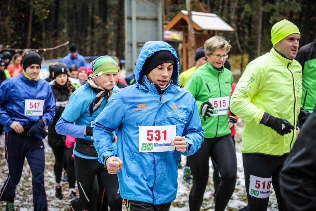 Eko maratonas