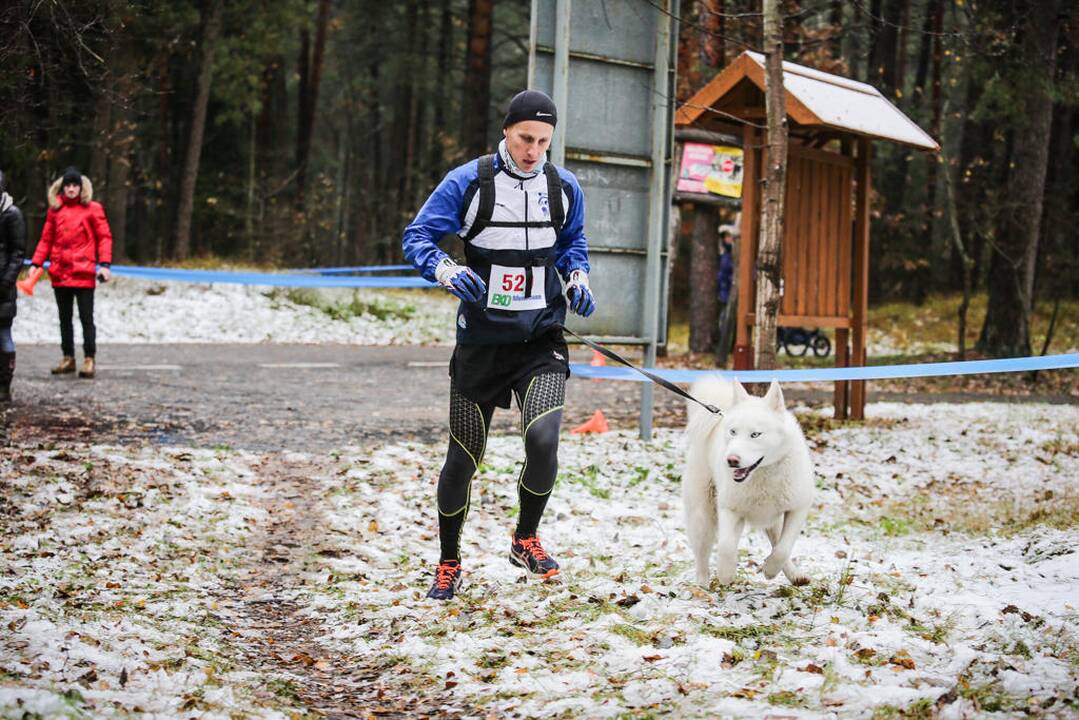 Eko maratonas
