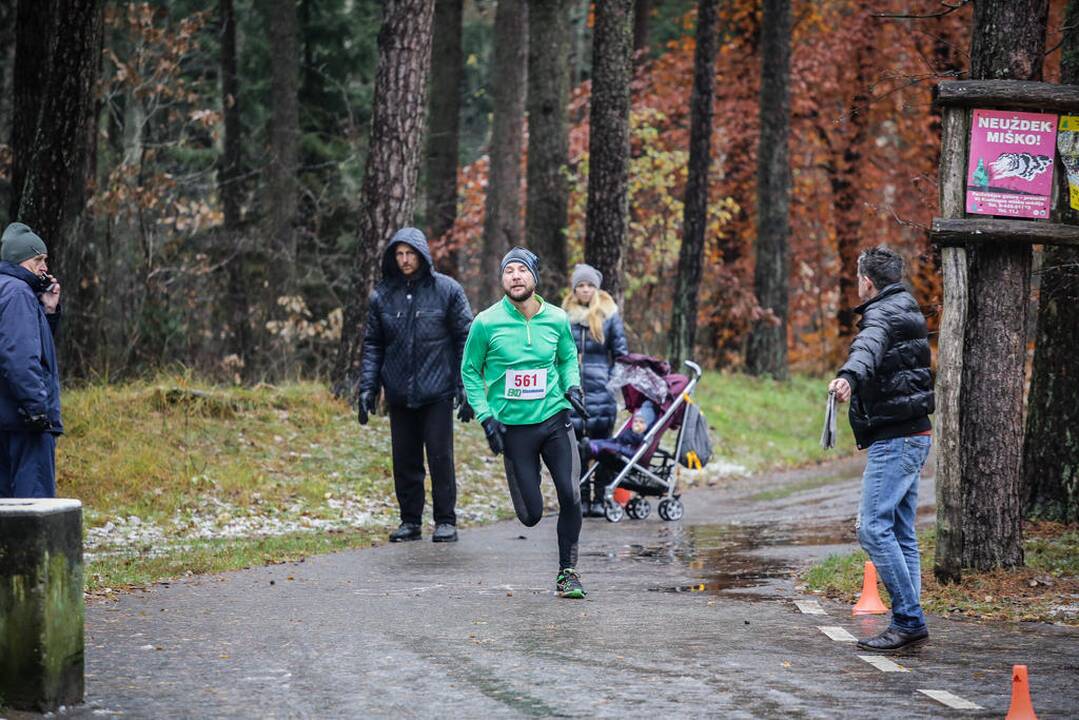 Eko maratonas