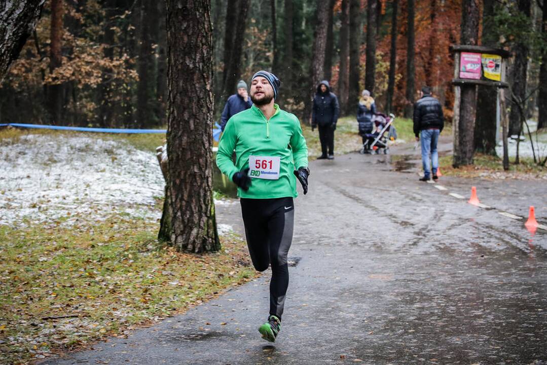 Eko maratonas