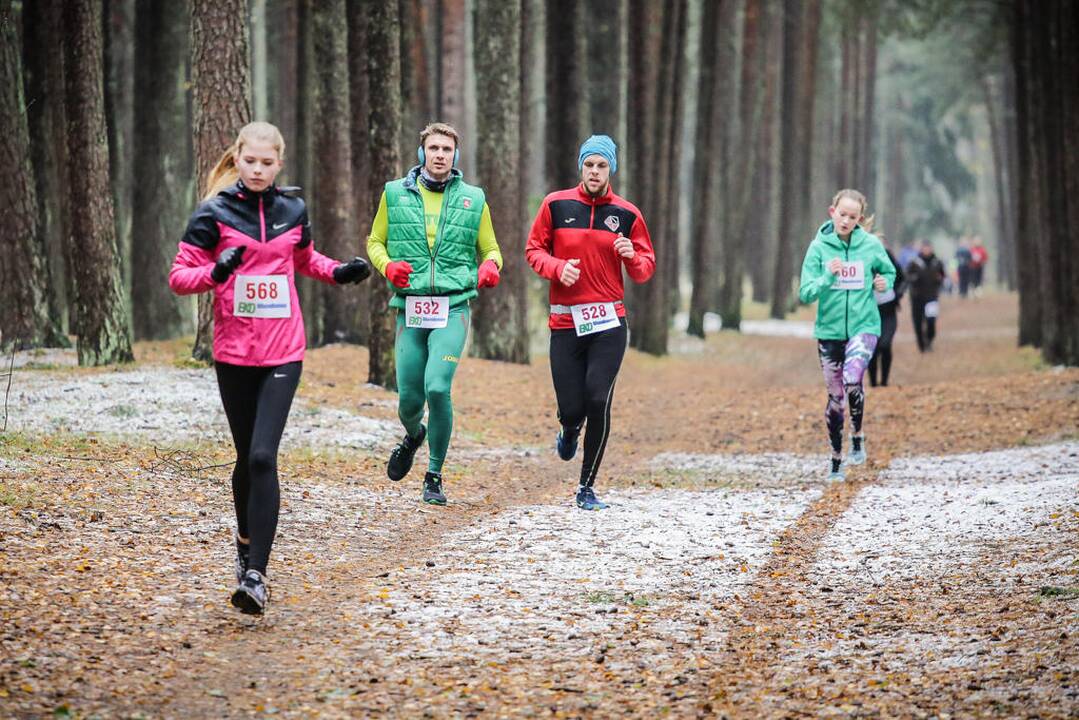 Eko maratonas
