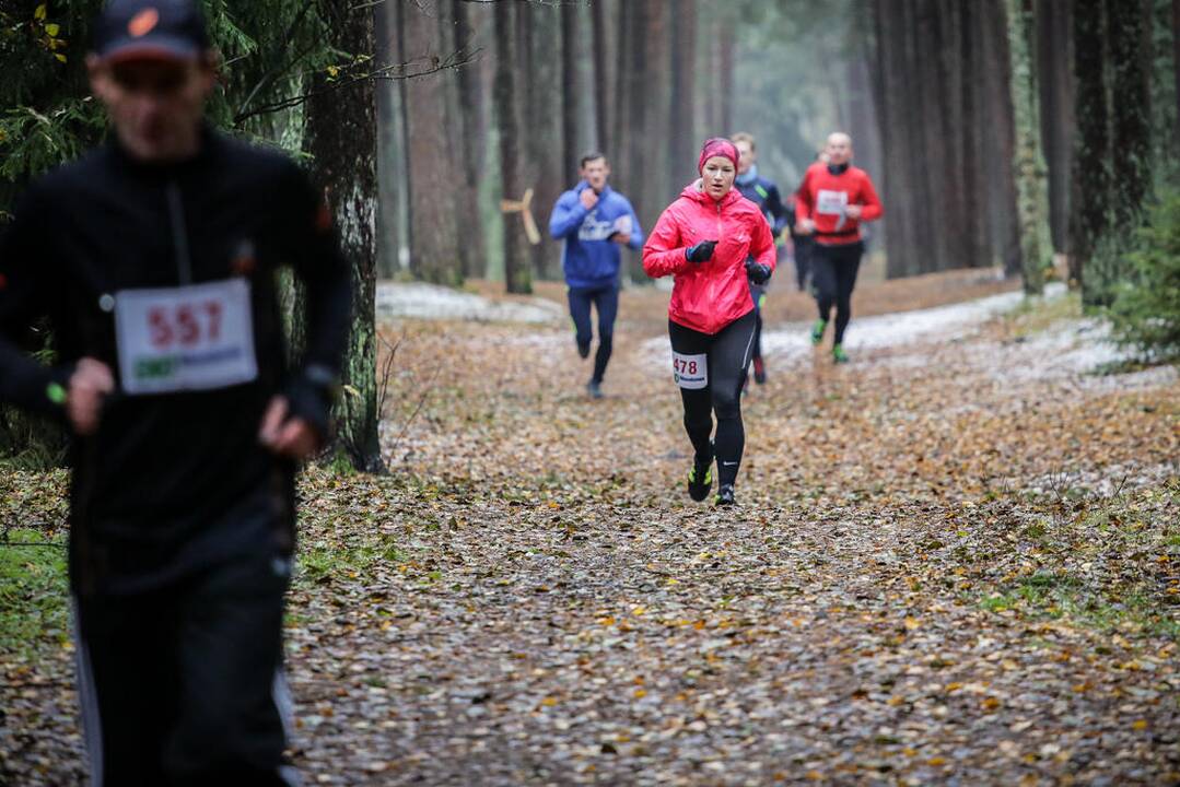 Eko maratonas