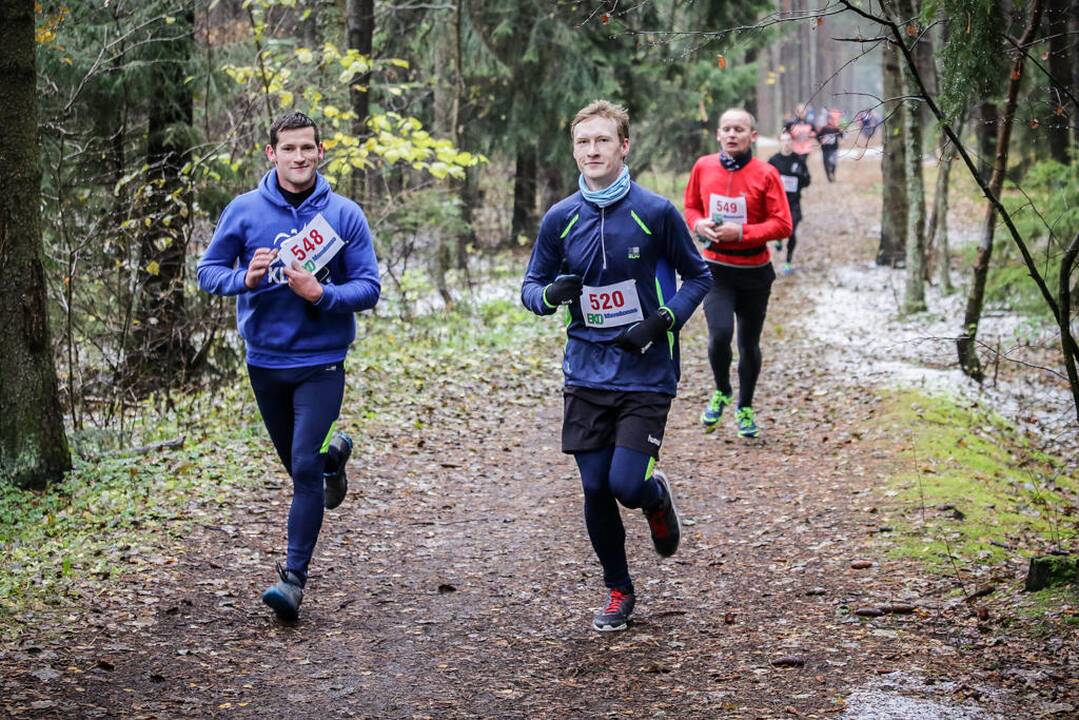 Eko maratonas