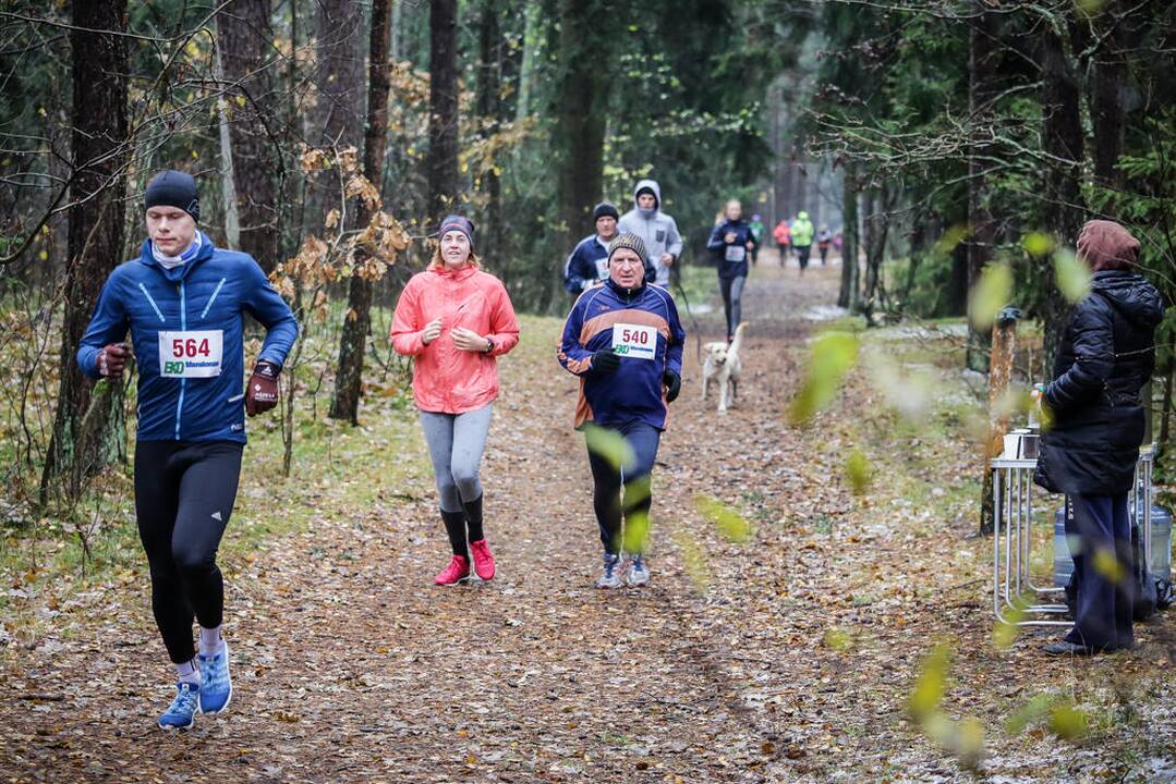 Eko maratonas
