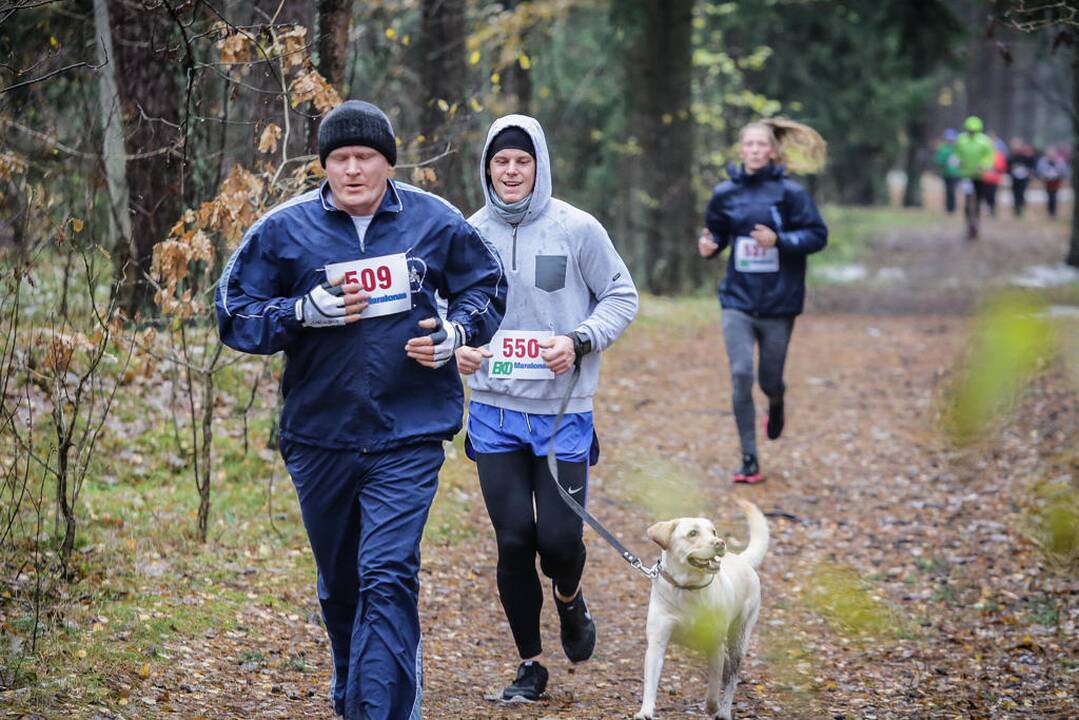 Eko maratonas