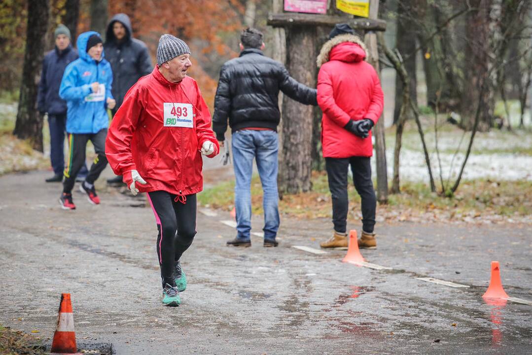 Eko maratonas