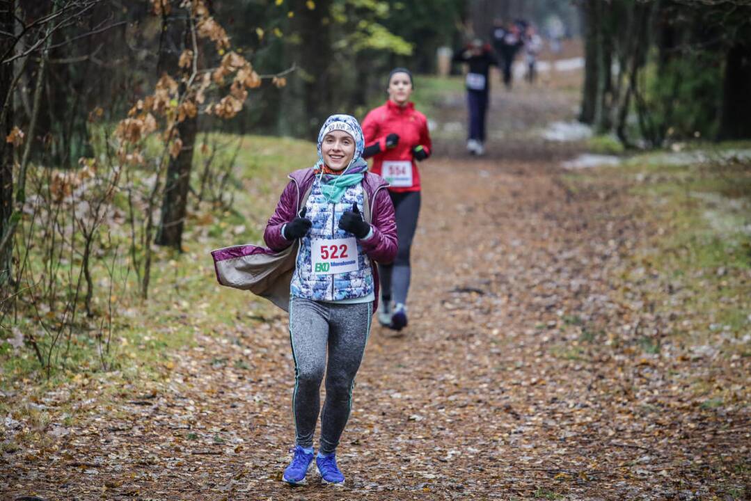 Eko maratonas