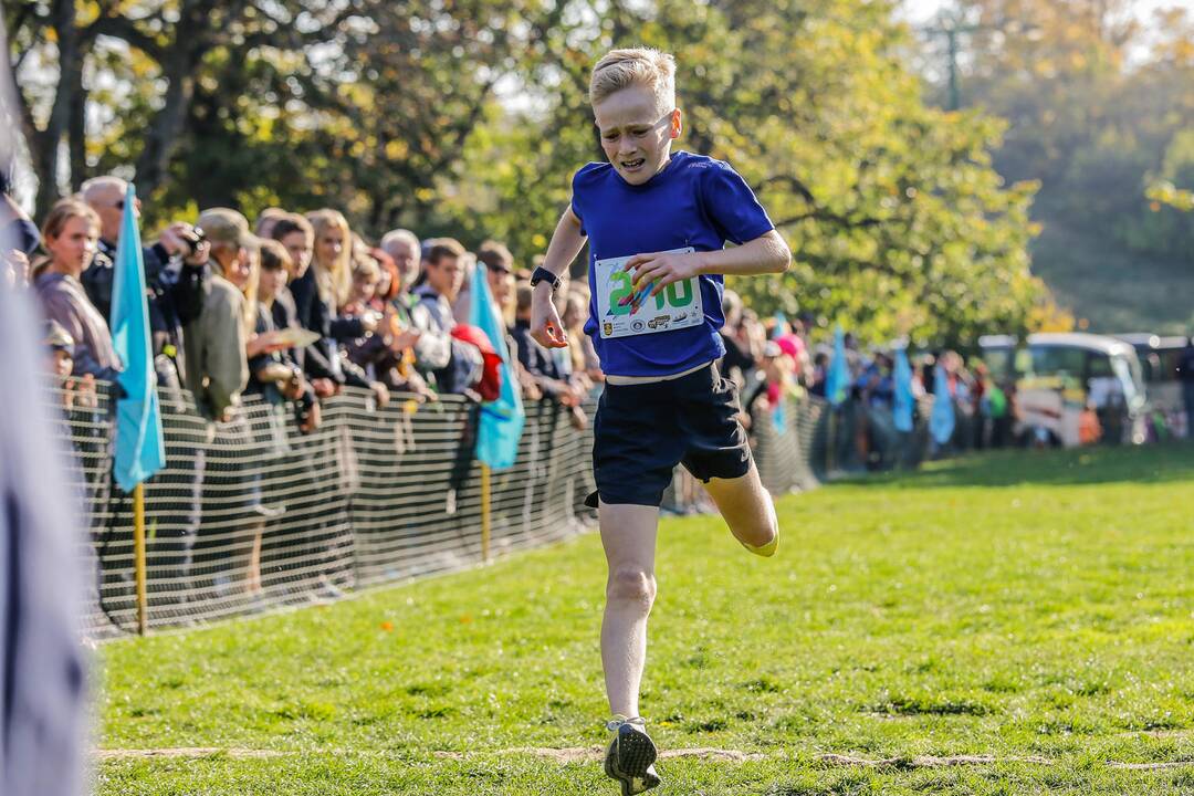 „Gintarinė jūrmylė 2018“