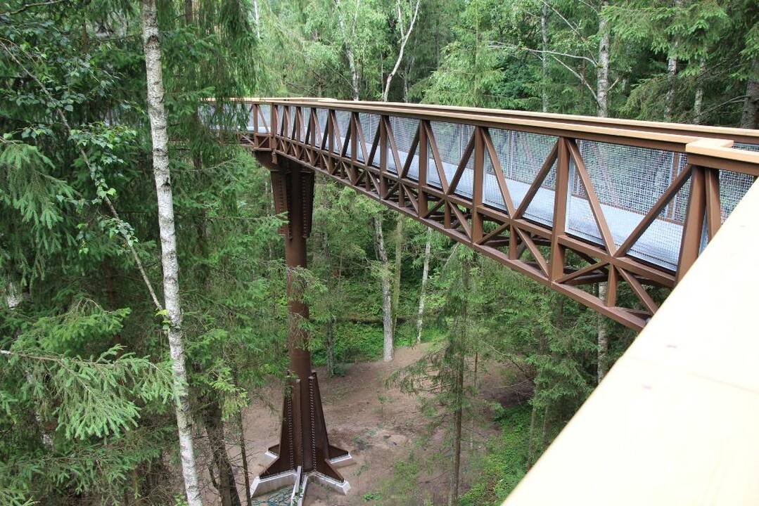 Anykščių regioninio parko medžių lajų takas