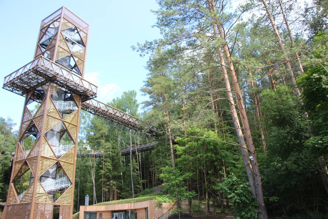 Anykščių regioninio parko medžių lajų takas