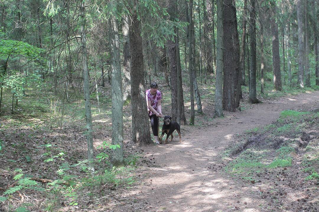 Miškuose – padidėjęs gaisrų pavojus