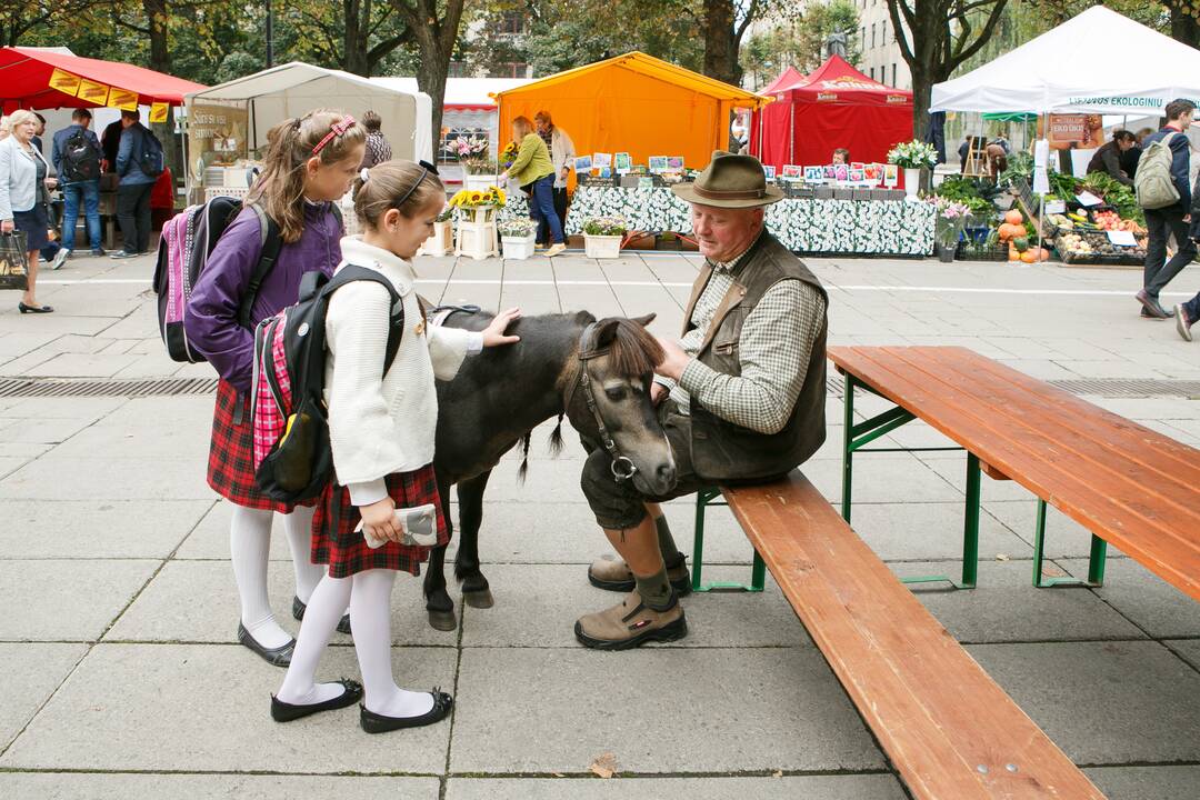 Derliaus ir amatų šventė