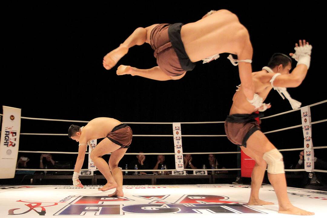 Tarptautinis muay thai turnyras „Powerfight“