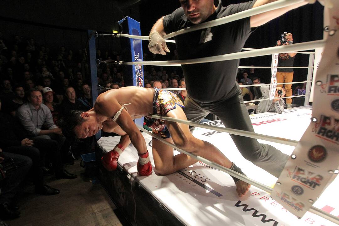 Tarptautinis muay thai turnyras „Powerfight“