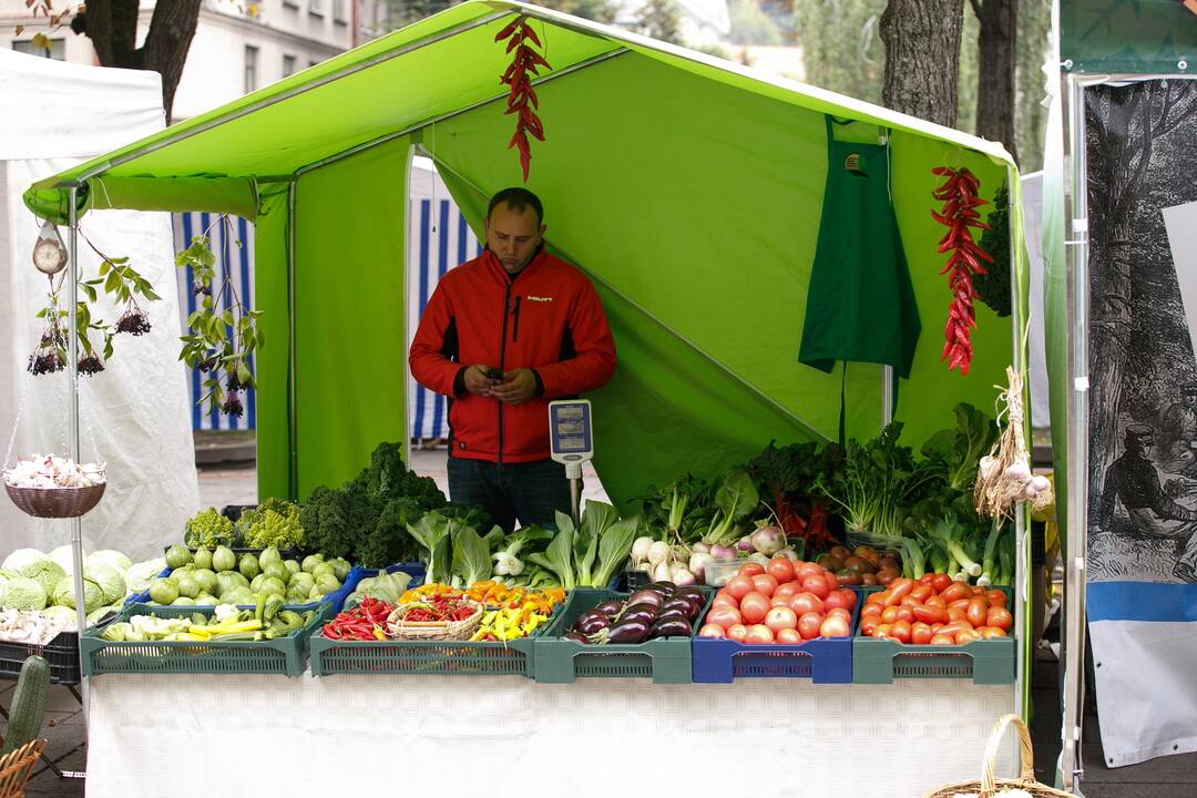 Derliaus ir amatų šventė