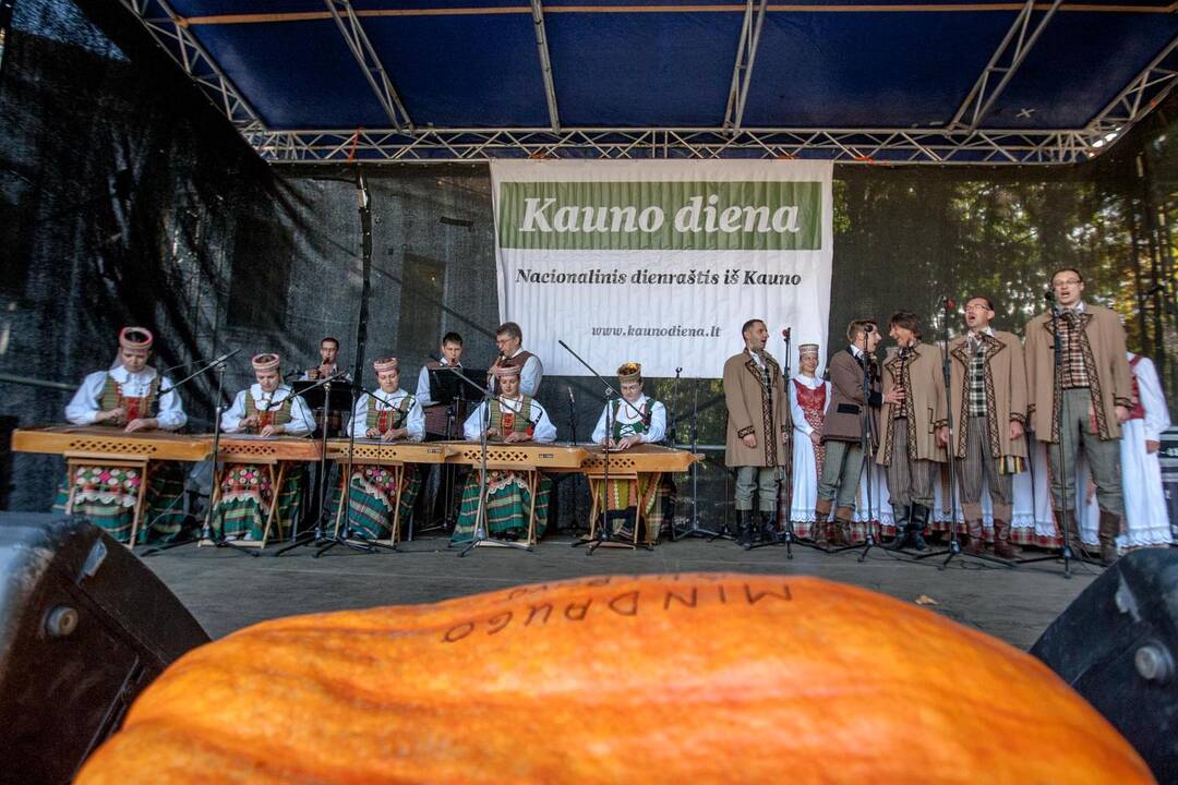 Festivalio "Baltic amber 2014" akimirkos