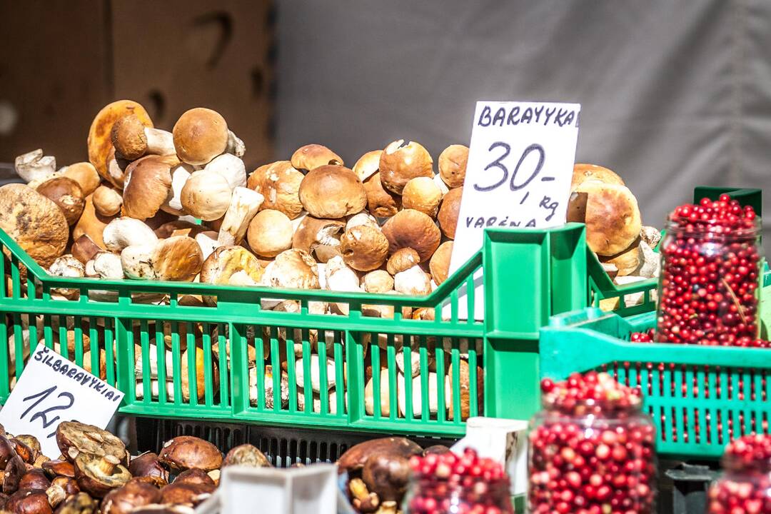 Rudens gėrybių mugė Laisvės alėjoje