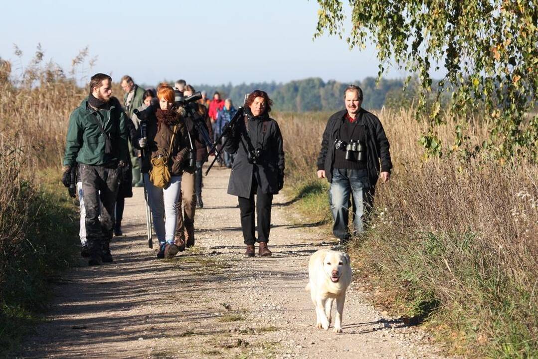 Palydos Baltojoje Vokėje