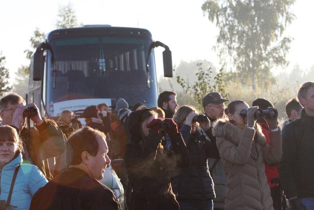 Palydos Baltojoje Vokėje
