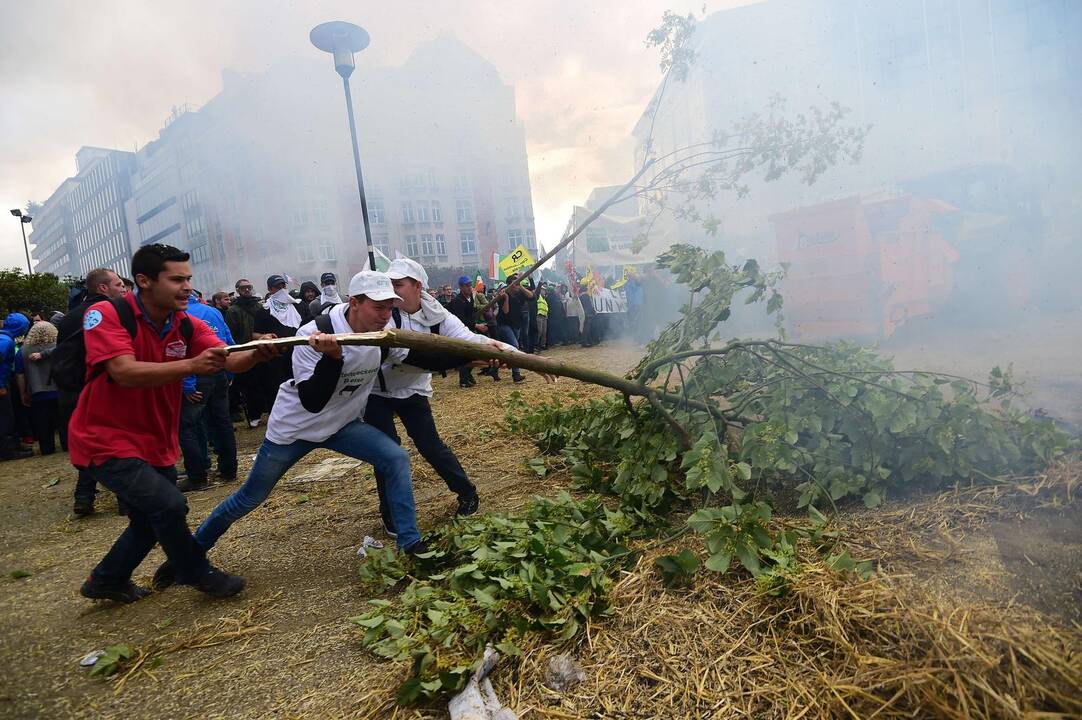 Briuselyje protestavo žemdirbiai