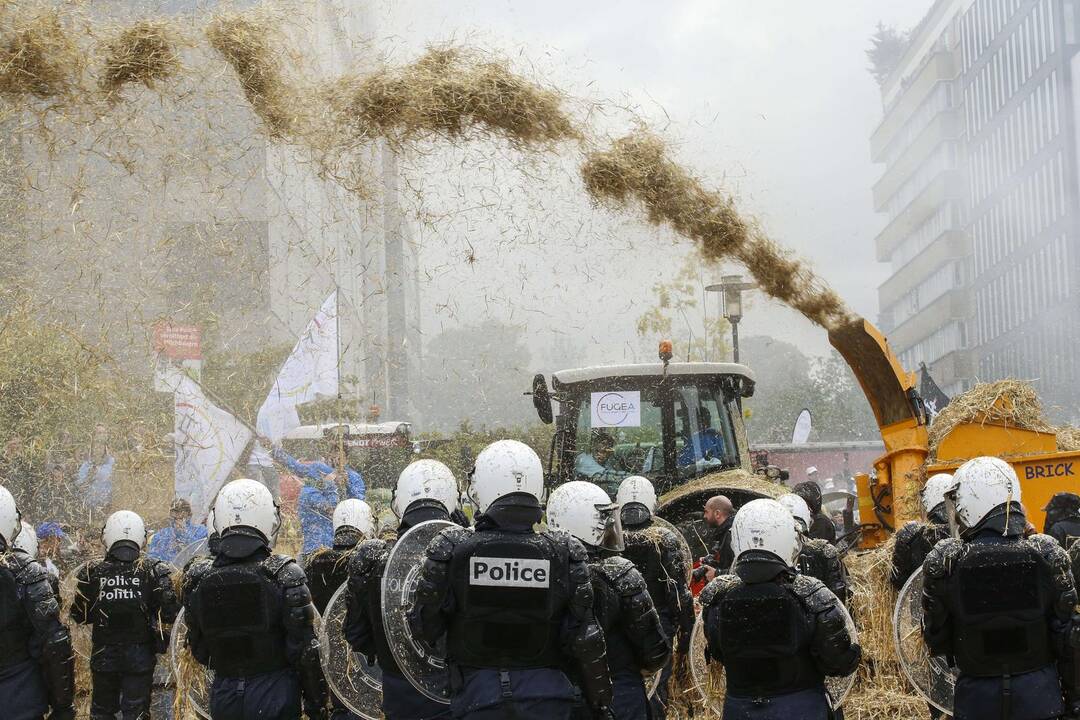 Briuselyje protestavo žemdirbiai