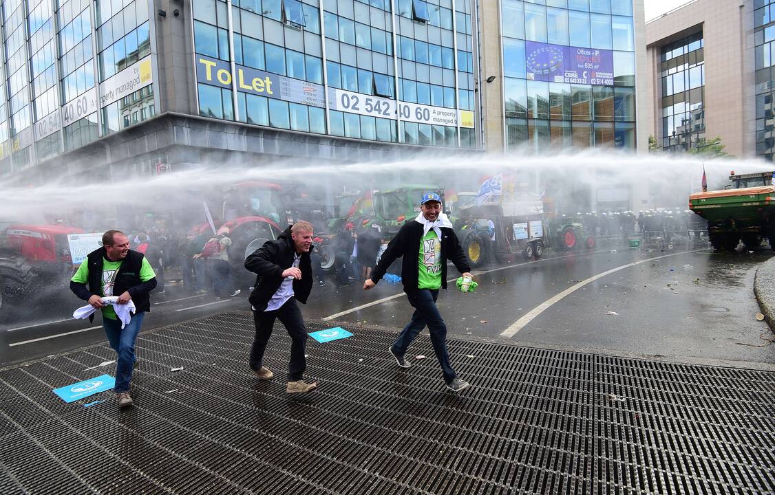 Briuselyje protestavo žemdirbiai