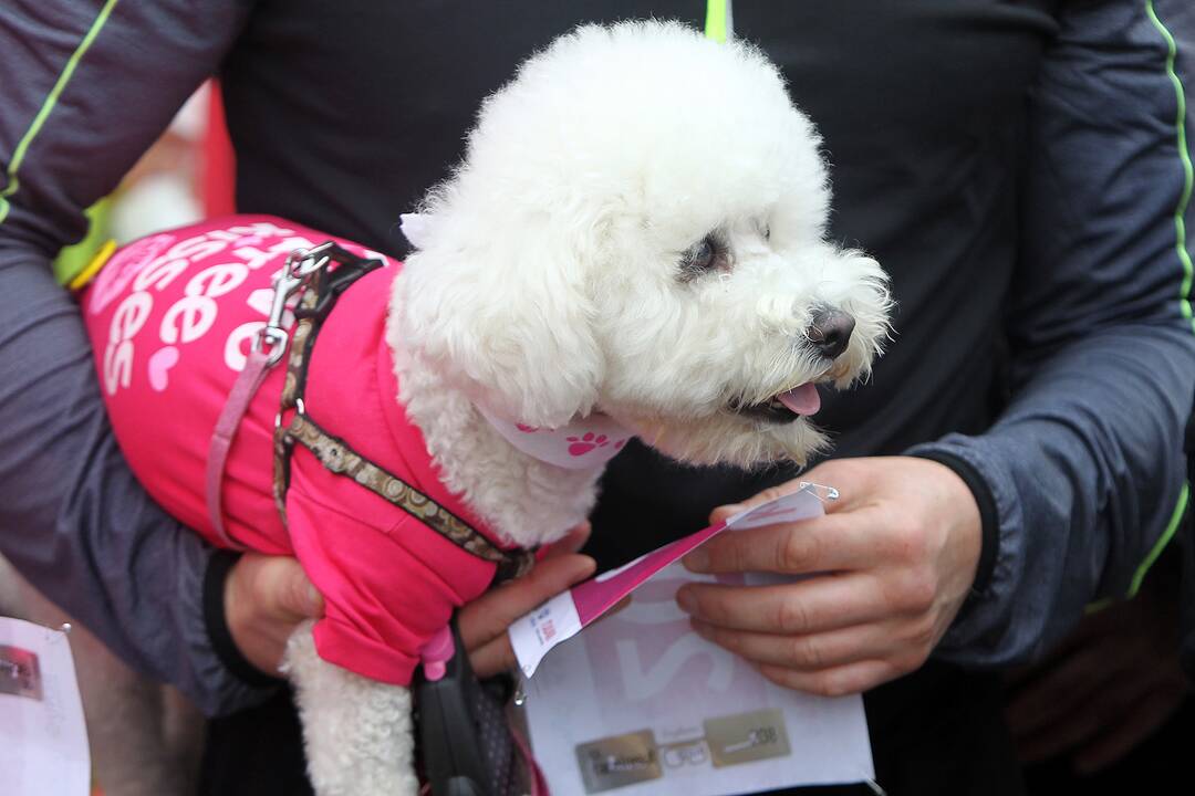 „Pink Run“ bėgimas Kaune