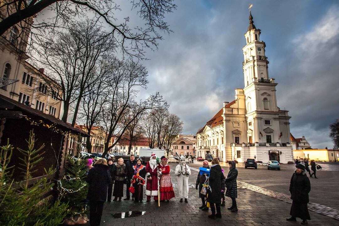 Prakartėlė su avimis Rotušės aikštėje