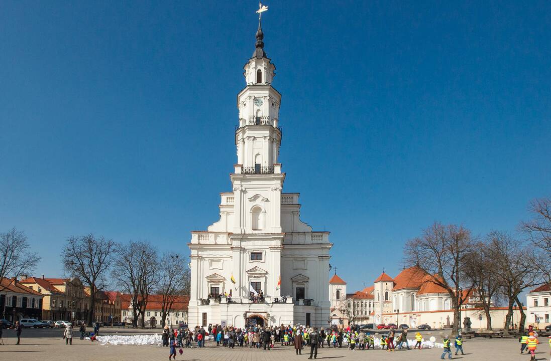 Ramunių rekordas tuberkuliozės dienai paminėti