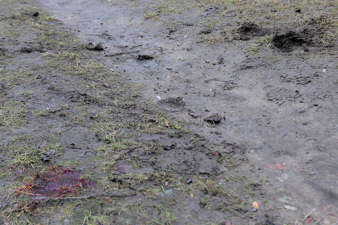 Kaune, Ryšių gatvėje nuo penkiaaukščio namo stogo nušoko jaunas vyras.