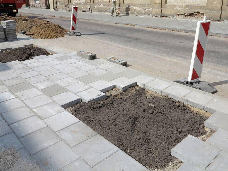 Šermukšnių gatvėje ruošiamasi šermukšnių sodinimui