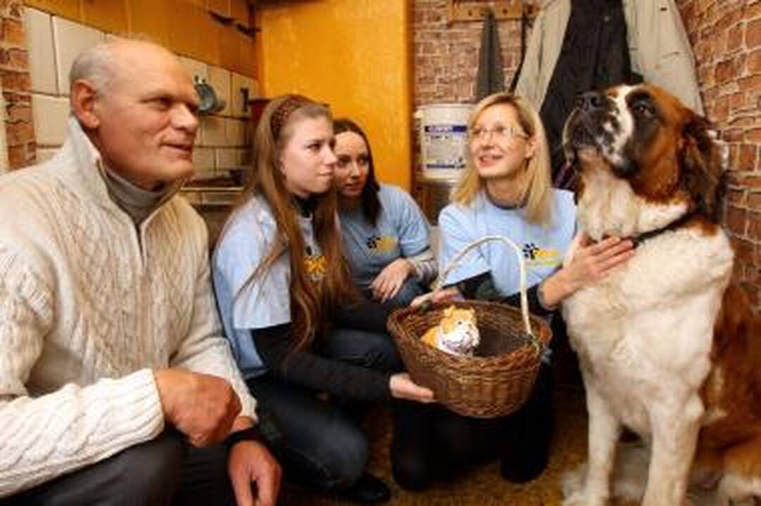 Sebernarė Bitė padėkojo "Pifui"