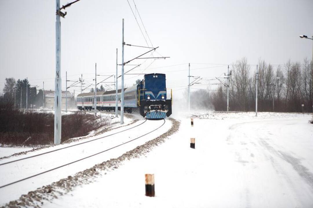 Trakų rajone šilumvežis mirtinai sužalojo ant bėgių gulėjusį vyrą