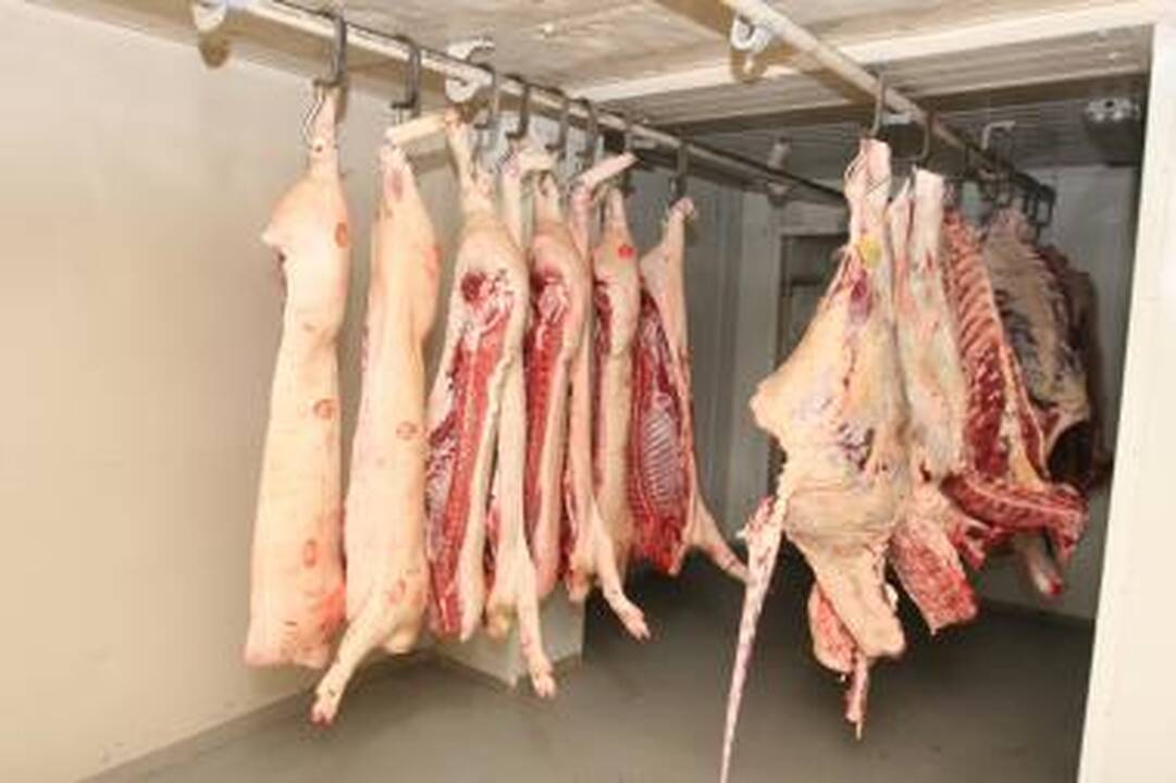 Iš Rokiškio rajone esančios fermos pavogta 200 kilogramų skerdienos