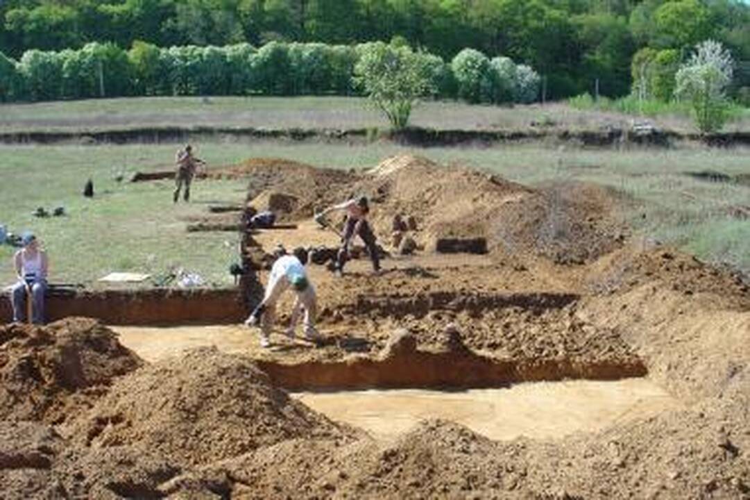 Senoji Marvelė liudija žiaurius žirgų aukojimo ritualus