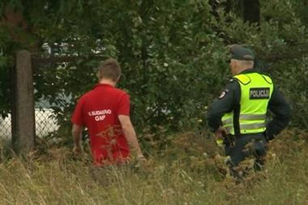 Greitkelyje kaktomuša susidūrė vilkikas ir savivartis, žuvo keleivis 