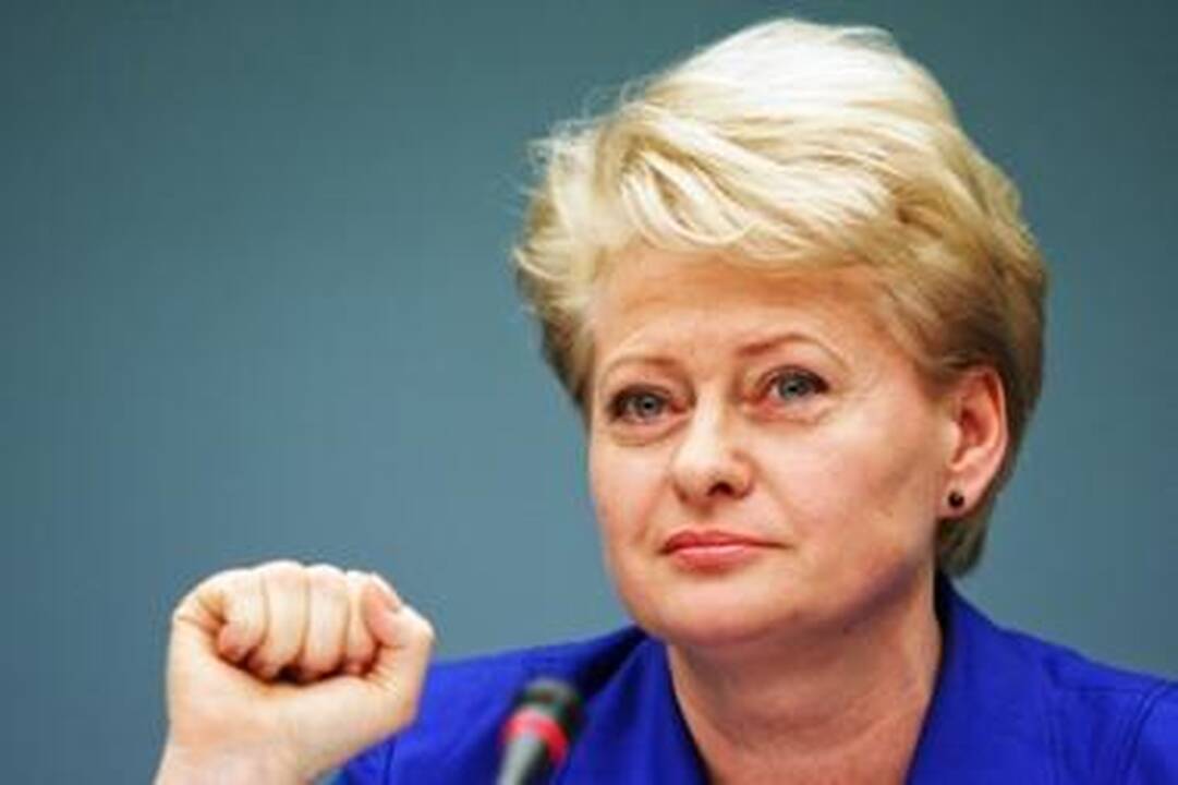 Prezidentė pasirašė įstatymus dėl „Leo LT“ ateities (dar papildyta)