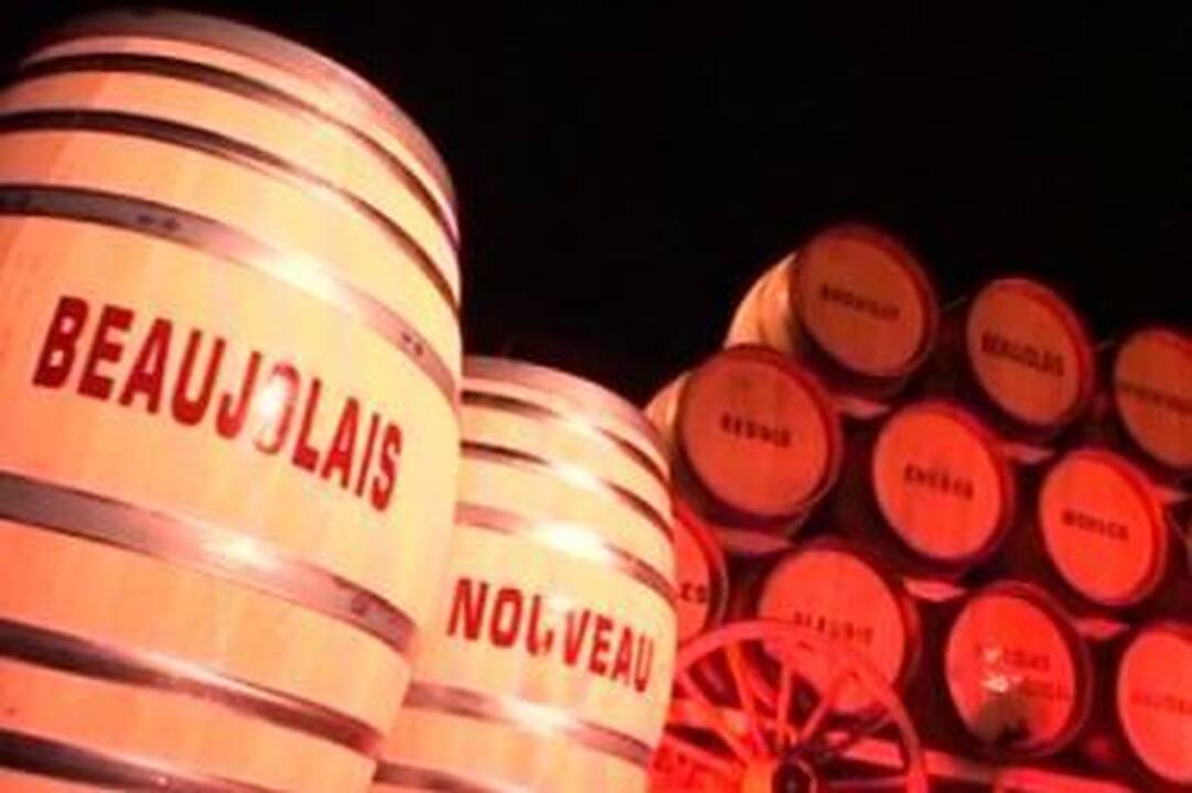 Trečiadienį prasideda jauno božolė vyno šventė 