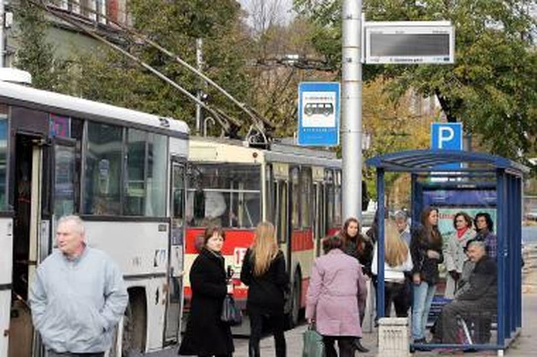 Kaunas šiemet Auksinės krivūlės negaus