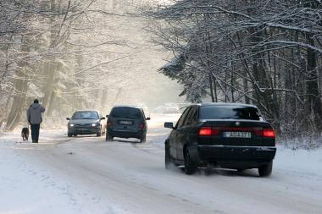 Sninga Vilkaviškio ir Marijampolės rajonuose