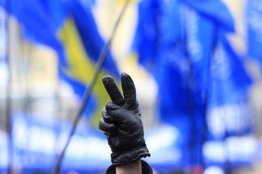 Ukrainos prezidento rinkimai: J.Tymošenko jau nebepavys V.Janukovyčiaus (papildyta)