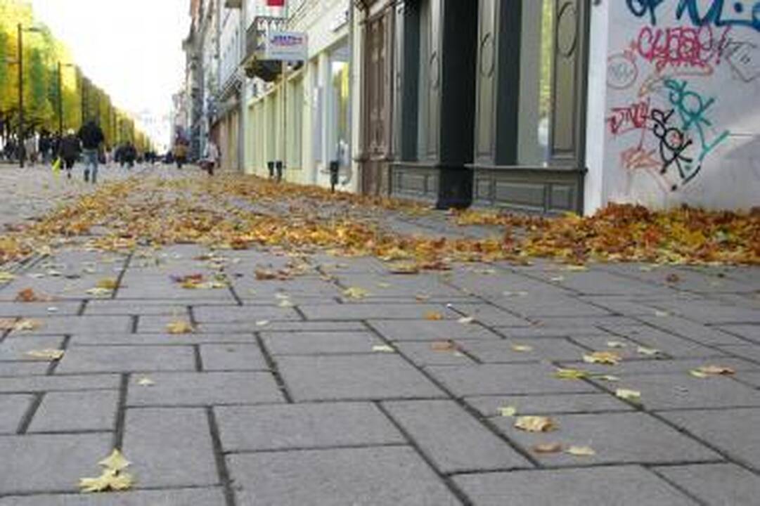 Rudens lapai šoka viliotinį