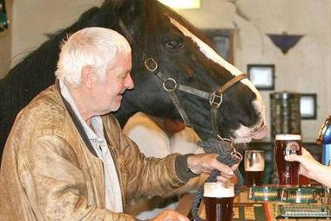 Kumelę išmetė iš baro