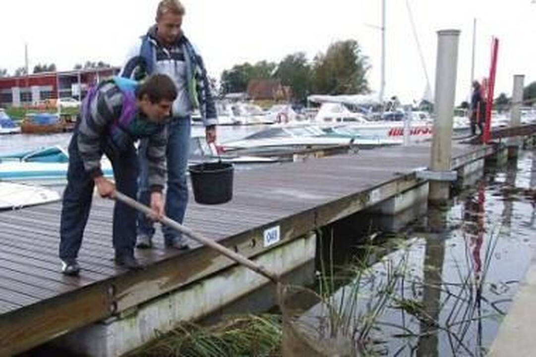 Žuvys iš Šyšos perkeliamos į Atmatą, teršėjas jau žinomas (papildyta)