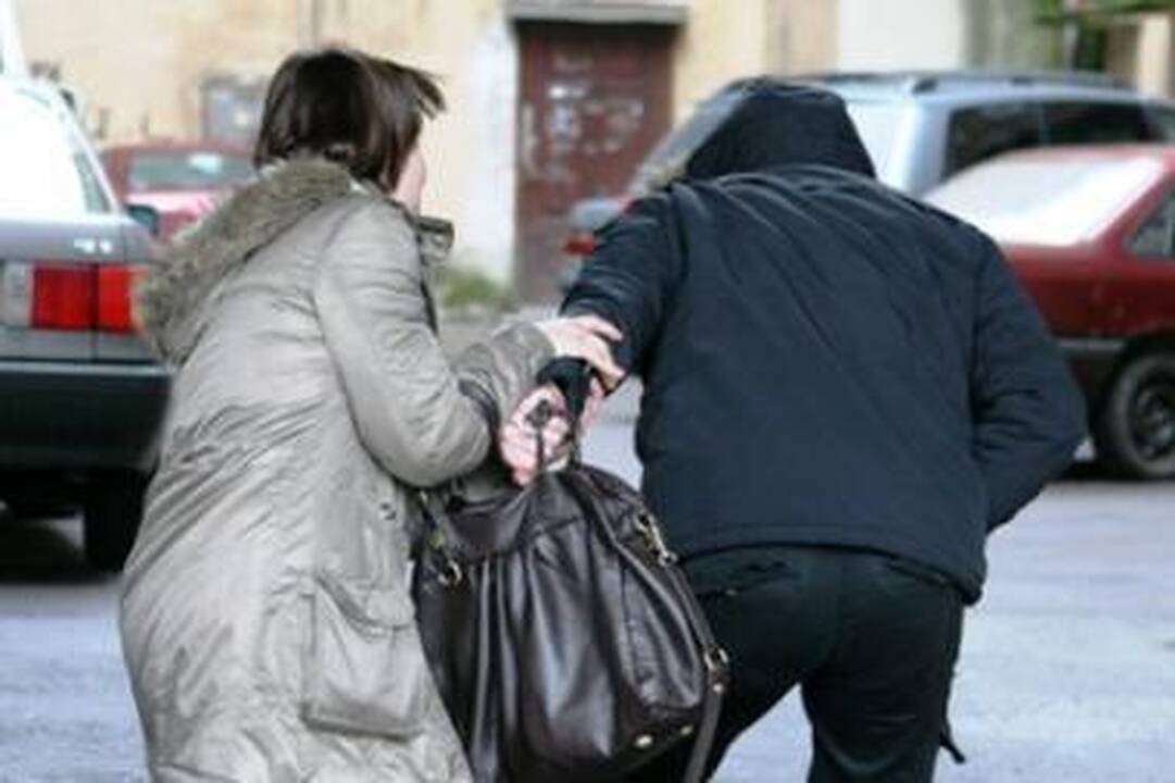 Sostinės vagišiai tampa vis agresyvesni